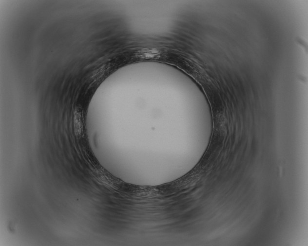 X0000091191442200709061004