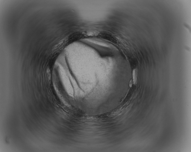 X0000091191443200709061004