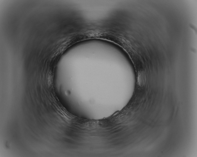 X0000091191444200709061004