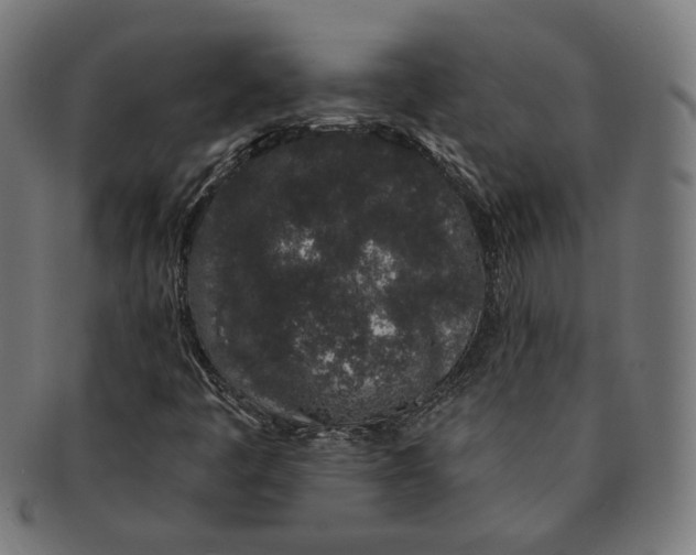 X0000091191445200709061004