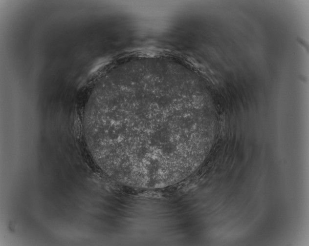 X0000091191446200709061004