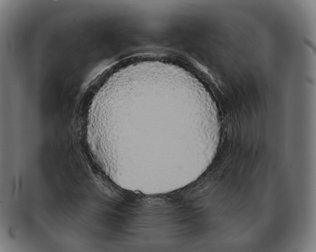 X0000091191448200709061004