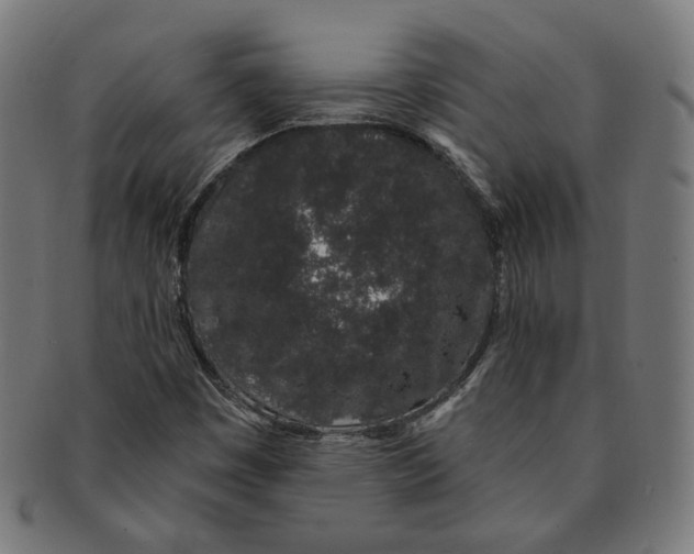 X0000091191449200709061004