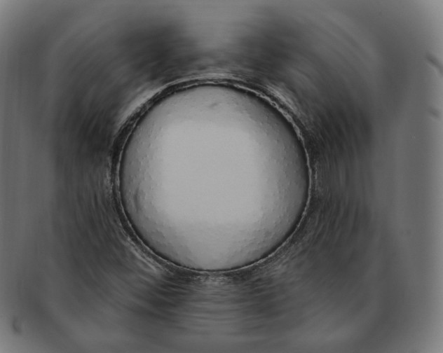 X0000091191452200709061004