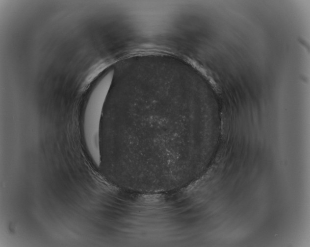 X0000091191453200709061004