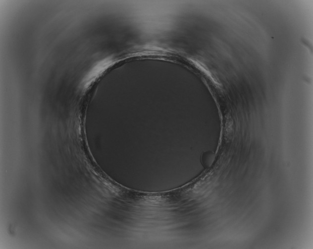 X0000091191455200709061004