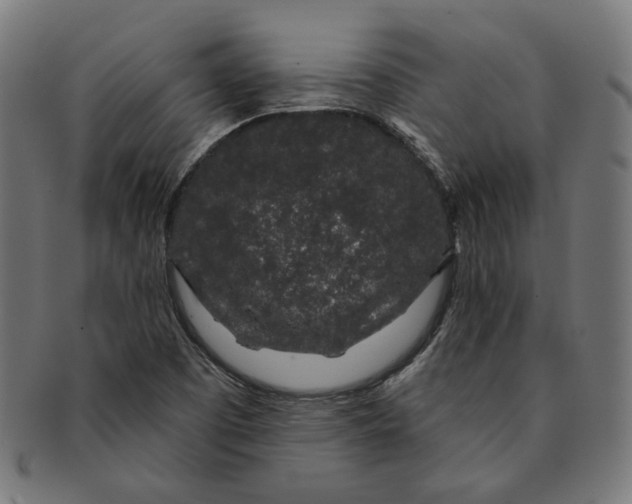 X0000091191457200709061004