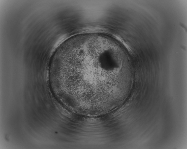 X0000091191459200709061004