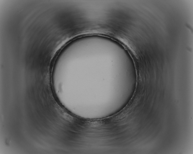 X0000091191460200709061004