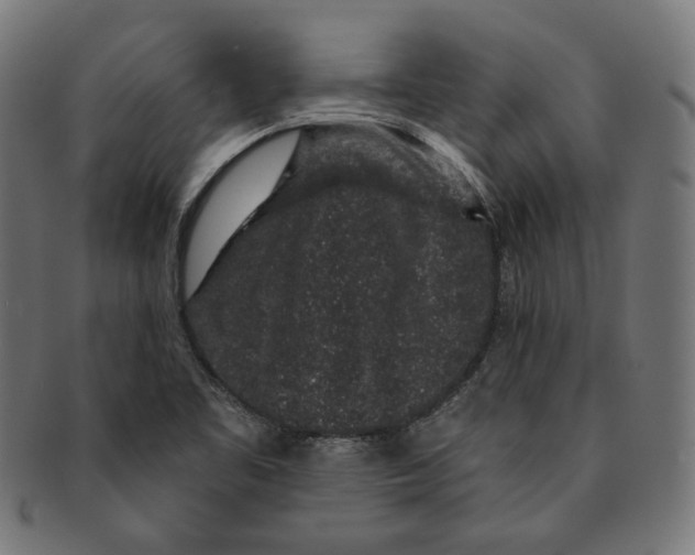 X0000091191461200709061004