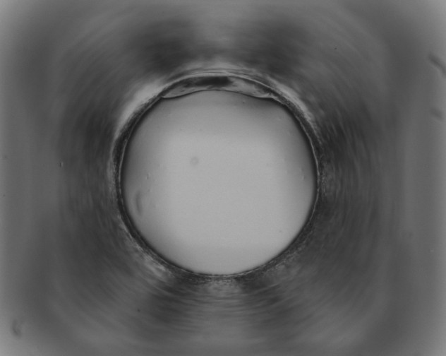 X0000091191464200709061004