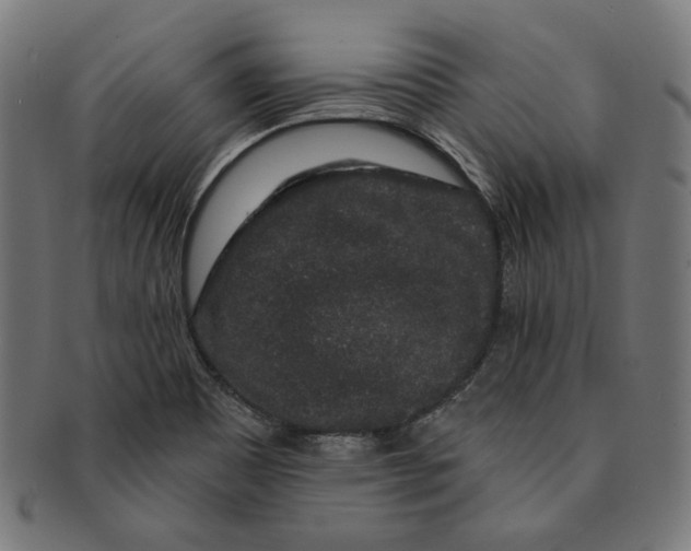 X0000091191465200709061004