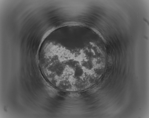 X0000091191466200709061004