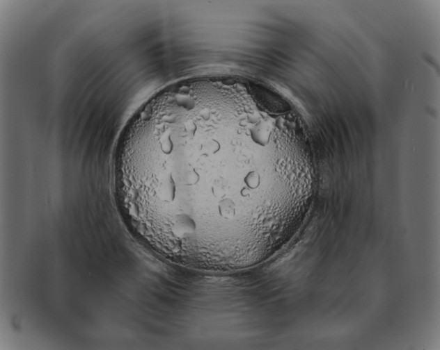 X0000091191467200709061004