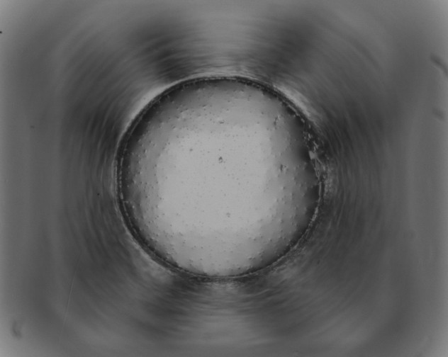 X0000091191468200709061004