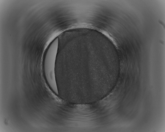 X0000091191469200709061004