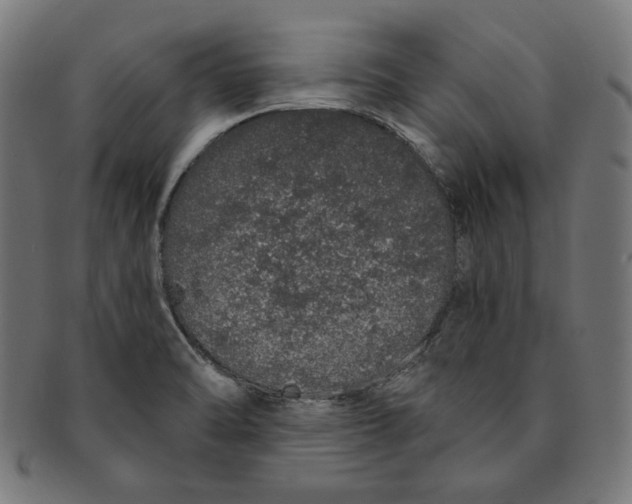 X0000091191470200709061004