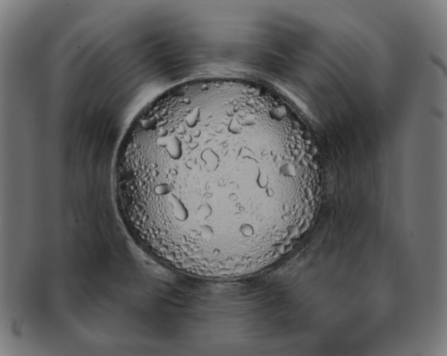 X0000091191471200709061004