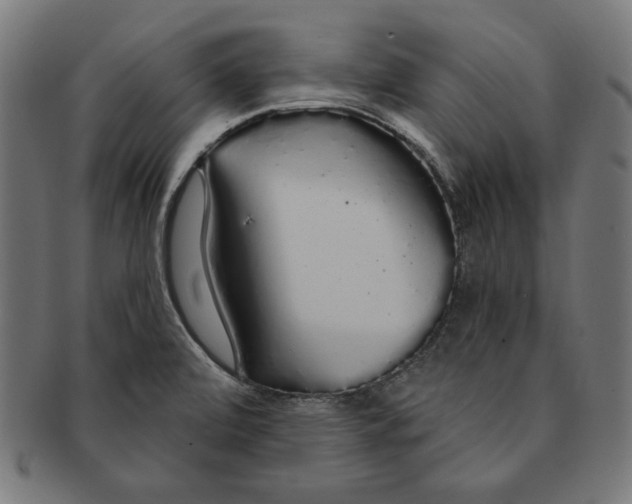 X0000091191472200709061004