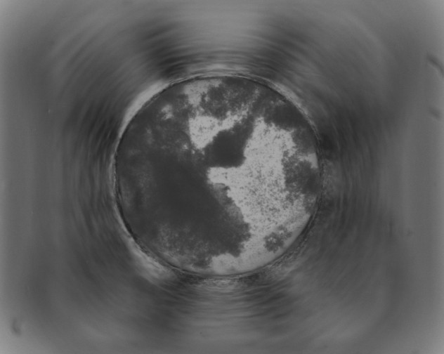 X0000091191474200709061004