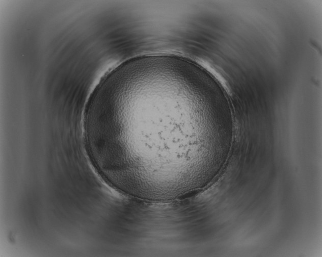 X0000091191477200709061004