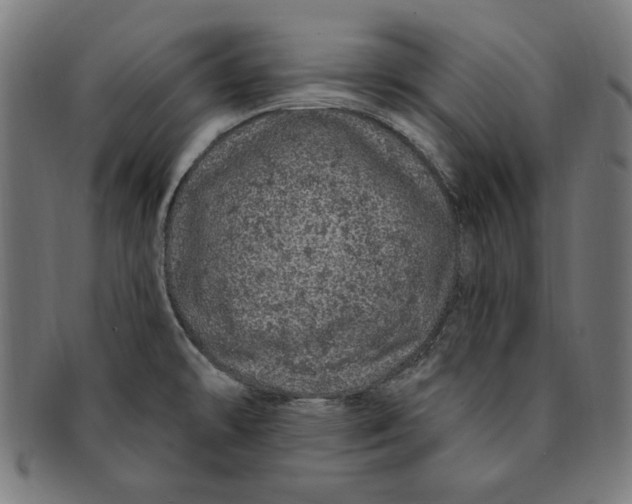 X0000091191478200709061004