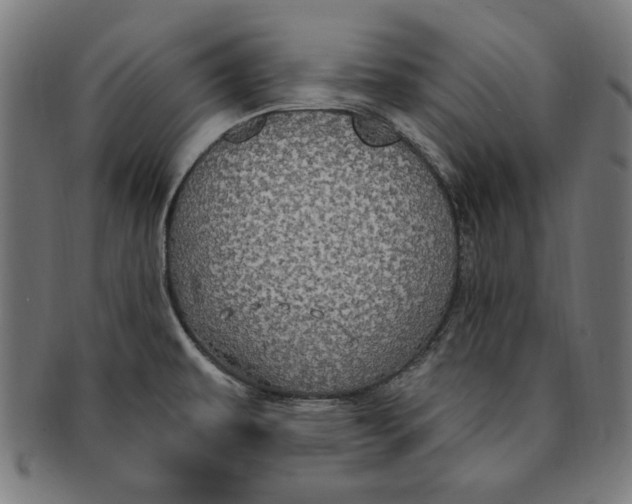 X0000091191479200709061004