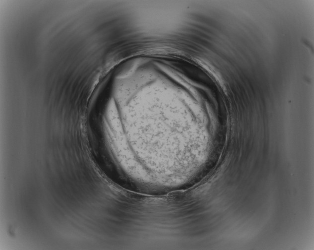 X0000091191481200709061004