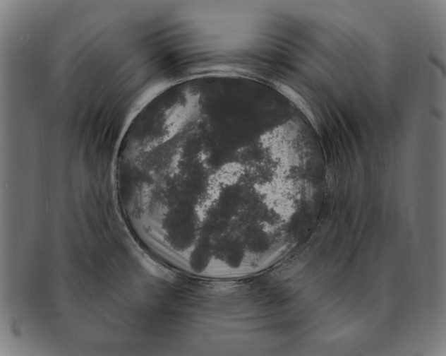 X0000091191482200709061004