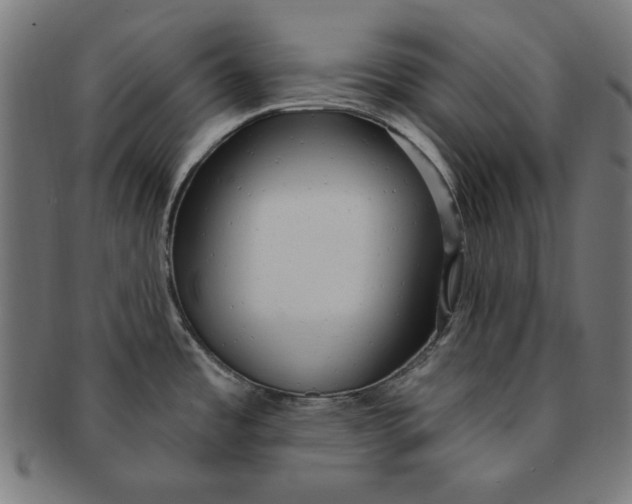 X0000091191485200709061003