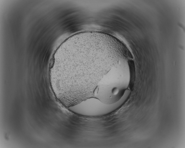 X0000091191488200709061003