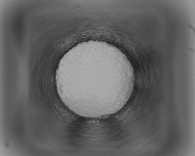 X0000091191489200709061003