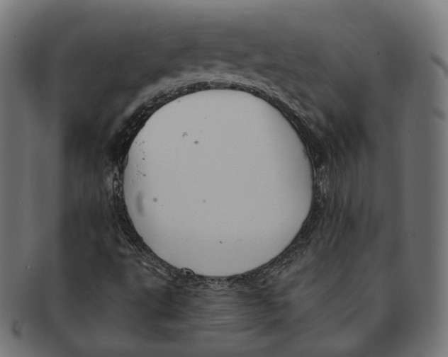 X0000091191495200709061003