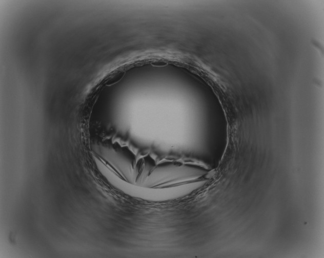 X0000091191496200709061003