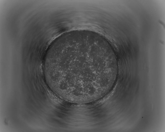 X0000091191497200709061003