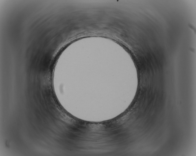 X0000091191498200709061003