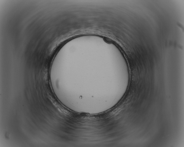 X0000091191499200709061003