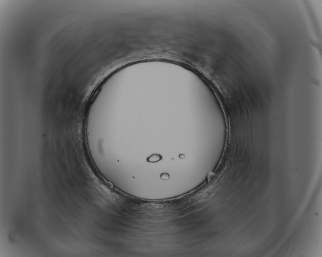 X0000091191500200709061003