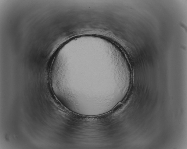 X0000091191501200709061003