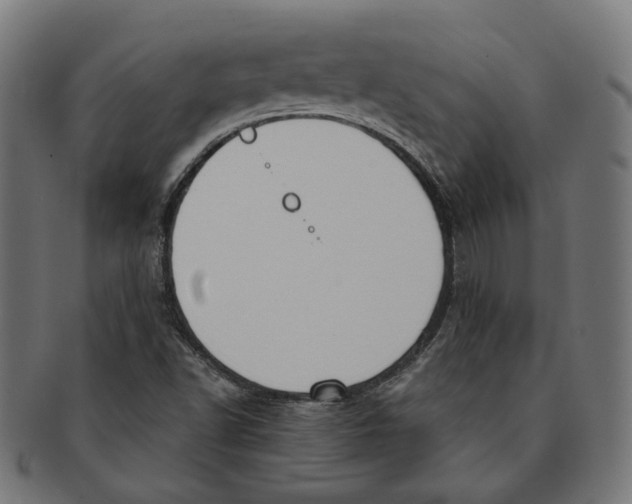 X0000091191502200709061003