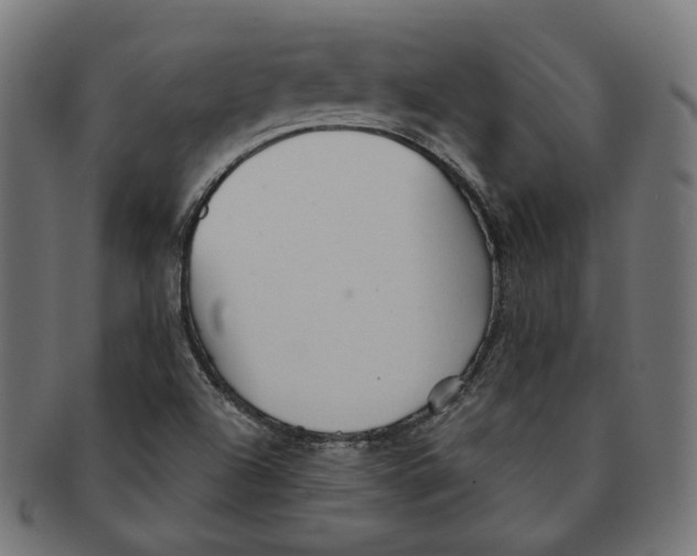 X0000091191504200709061003