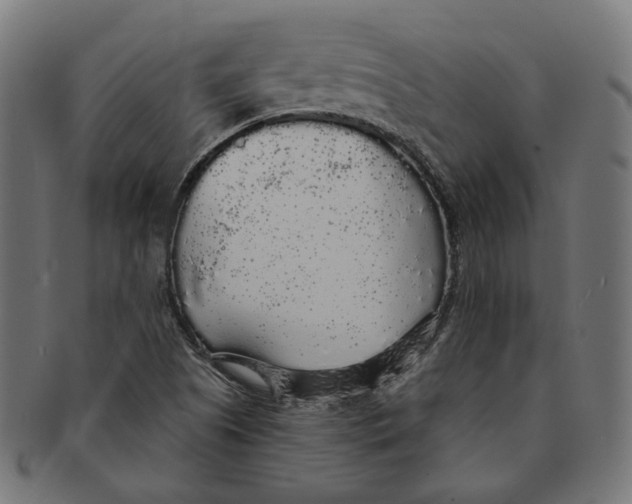 X0000091191505200709061003