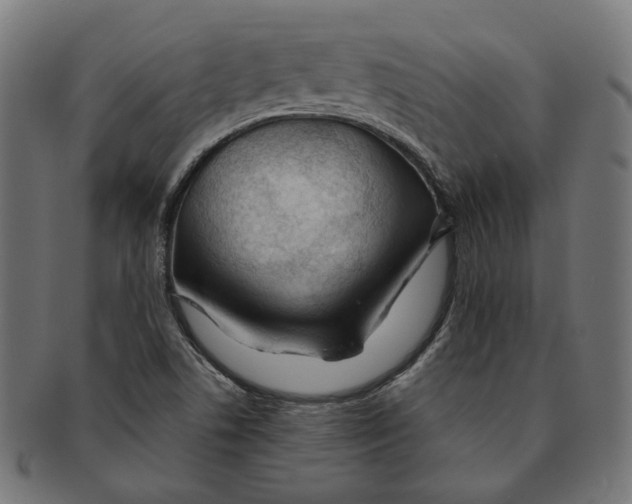 X0000091191506200709061003