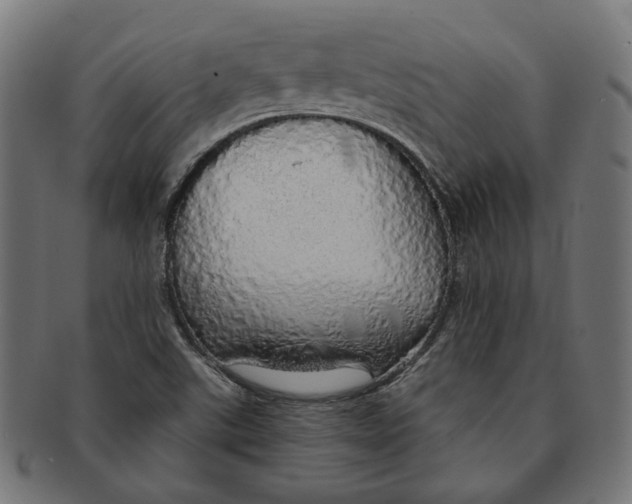 X0000091191507200709061003