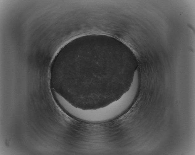 X0000091191508200709061003