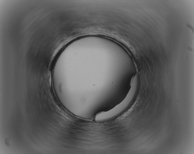 X0000091191509200709061003