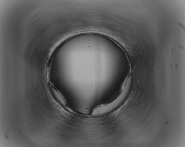 X0000091191510200709061003