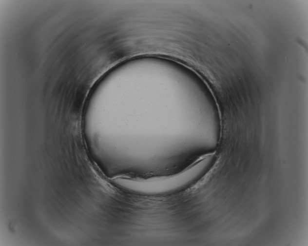 X0000091191513200709061003