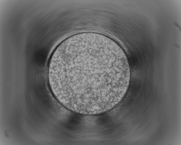 X0000091191514200709061003