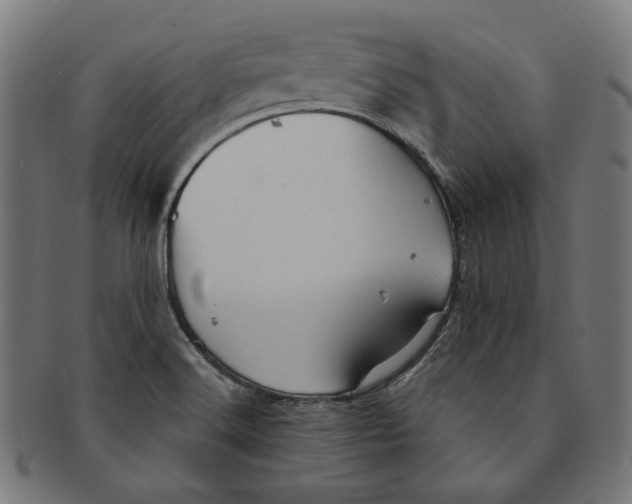 X0000091191516200709061003